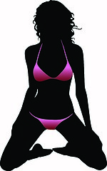 Image showing Bikini woman silhouette