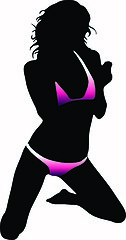 Image showing Bikini woman silhouette