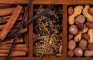 Image showing Spices and Nuts