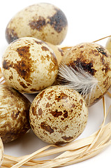 Image showing Quail Eggs