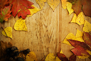 Image showing Leaves on a board