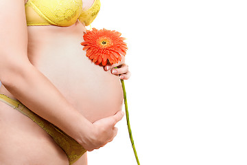 Image showing Belly of a pregnant young woman