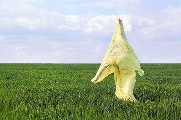 Image showing Young flexible woman