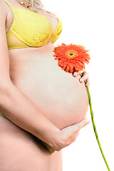 Image showing Belly of a pregnant young woman with flower