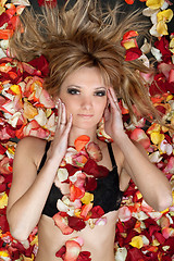 Image showing attractive blonde lying in rose petals