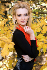 Image showing blonde amongst the autumn leaves