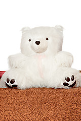 Image showing Big white teddy bear