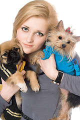 Image showing Portrait of beautiful blonde with two dogs. Isolated