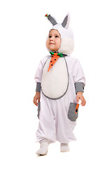 Image showing Little boy dressed as bunny. Isolated