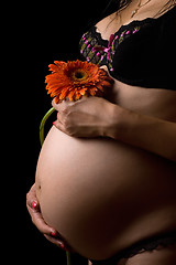 Image showing Belly of a pregnant woman with flower. Isolated