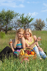 Image showing Two attractive blonde with wineglasses