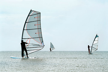 Image showing Silhouettes of a three windsurfers