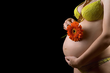 Image showing Belly of a pregnant young woman with flower