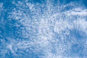 Image showing Blue sky with little clouds