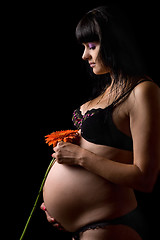 Image showing Pregnant young brunette with red flower. Isolated