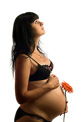 Image showing Pregnant young woman with flower. Isolated