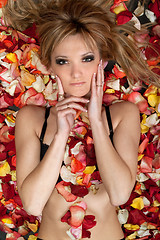 Image showing  pretty blonde lying in rose petals