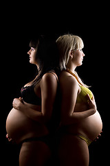 Image showing Pregnant blonde and brunette. Isolated