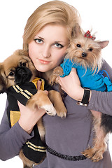 Image showing Portrait of attractive blonde with two dogs. Isolated