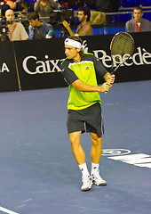 Image showing David Ferrer