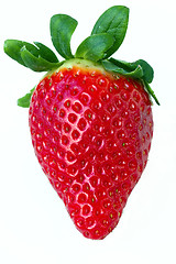 Image showing fresh red strawberry 