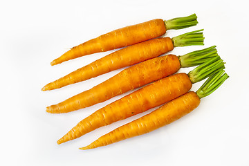 Image showing fresh carrots 