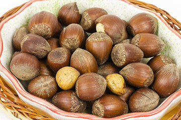 Image showing hazelnuts in a basket