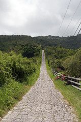 Image showing Narrow mountain road.