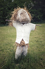 Image showing Rustic scarecrow stuffed with straw