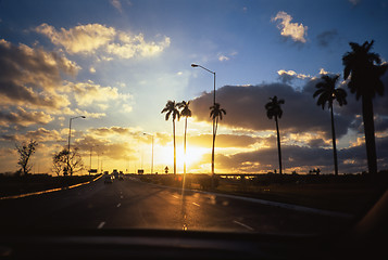 Image showing Sunset and palm trees