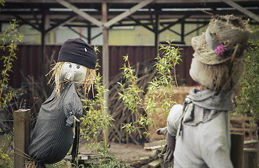 Image showing Two scarecrows outside a barn