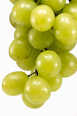 Image showing Muscat grapes