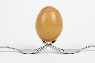 Image showing fresh egg