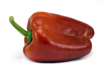Image showing Bright red pepper