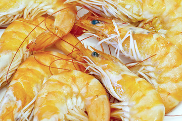 Image showing delicious fresh cooked shrimp prepared to eat