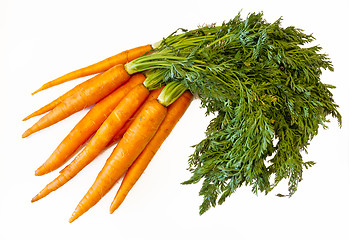 Image showing fresh carrots 