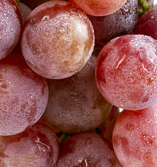 Image showing red grapes