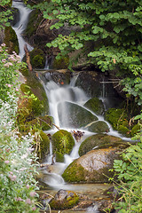 Image showing Aiguestortes  National Park