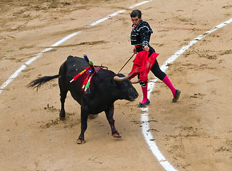 Image showing Morante de la Puebla