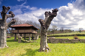 Image showing Horreo in Gijon, Asturias, Spain 