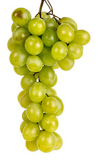 Image showing bunch of green grapes Muscat