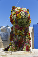 Image showing The giant floral sculpture Puppy in Guggenheim Museum