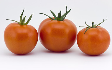 Image showing three tomatoes