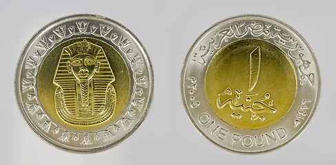 Image showing Egyptian coin