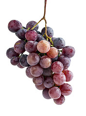 Image showing red grapes