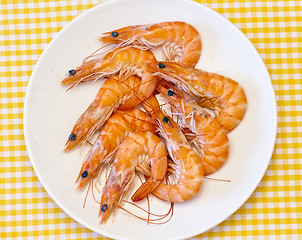 Image showing delicious fresh cooked shrimp prepared to eat