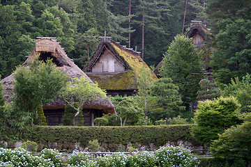 Image showing Japanese village