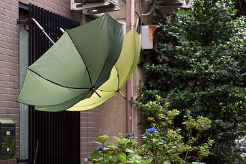 Image showing Umbrellas