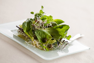 Image showing Salad