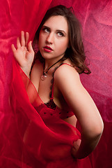 Image showing young woman in red lingerie